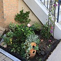 2017 Gardening Contest